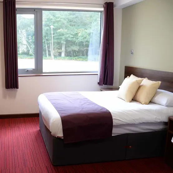 Executive double bed room